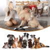 5Pcs Multi-Color Squeaky No Stuffing Dog Toys With Squeaky Balls Dog Teething Training Interactive Dog Toys for Aggressive Chewers for Small Medi