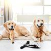 5Pcs Multi-Color Squeaky No Stuffing Dog Toys With Squeaky Balls Dog Teething Training Interactive Dog Toys for Aggressive Chewers for Small Medi