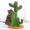 (Do Not Sell on Amazon) Cat Scratching Post Cactus Cat Scratcher Featuring with 3 Scratching Poles and Interactive Dangling Ball