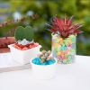 Colorful Pebbles For Fish Tank; Luminous Stone Artificial Fluorescent Stone For Vase Potted Plants