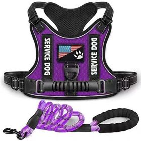Pet Harness And Leash Set For Dog & Cat; Adjustable No Pull Service Dog Vest Harness For Walking (Color: Purple, size: S)